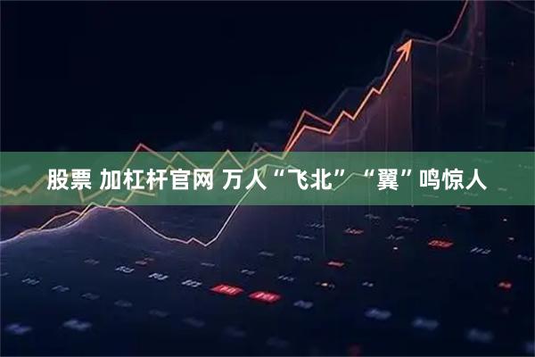股票 加杠杆官网 万人“飞北”&#32;“翼”鸣惊人