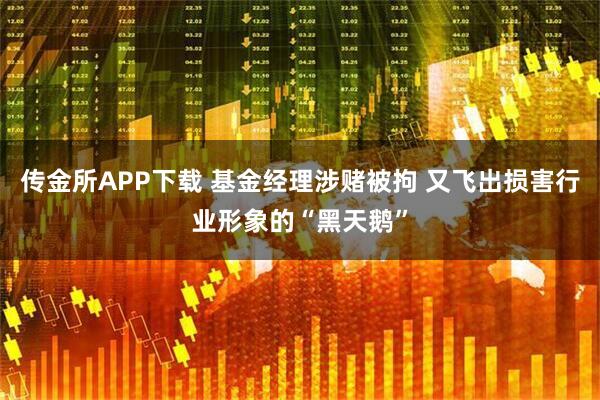 传金所APP下载 基金经理涉赌被拘 又飞出损害行业形象的“黑天鹅”