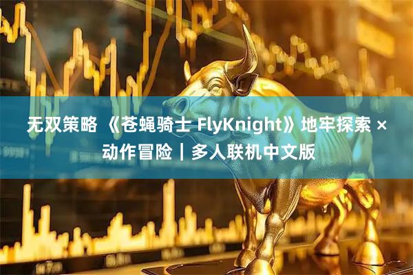 无双策略 《苍蝇骑士 FlyKnight》地牢探索 × 动作冒险｜多人联机中文版