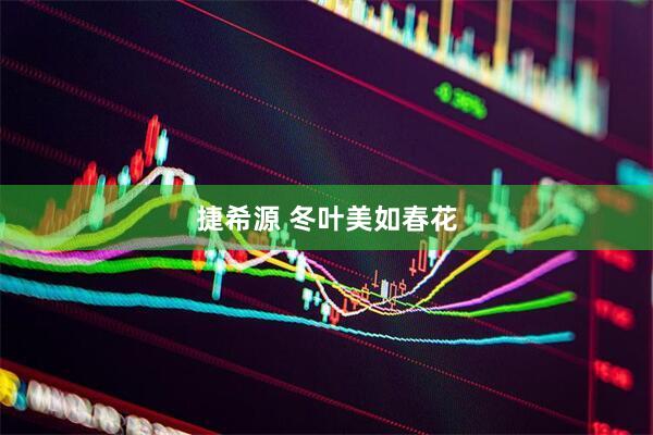 捷希源 冬叶美如春花
