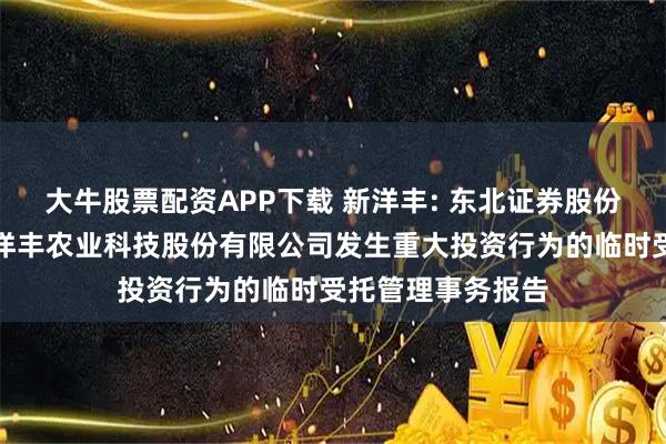 大牛股票配资APP下载 新洋丰: 东北证券股份有限公司关于新洋丰农业科技股份有限公司发生重大投资行为的临时受托管理事务报告