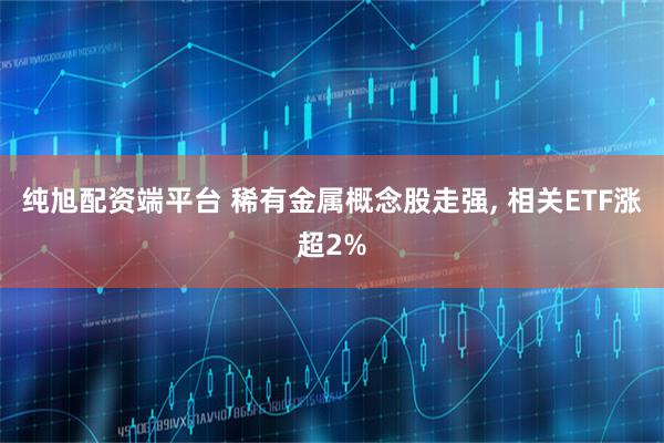 纯旭配资端平台 稀有金属概念股走强, 相关ETF涨超2%